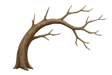 Poster - Bare tree branch arching gracefully, photorealistic 3d rendering against transparent backdrop, ideal for natural design projects