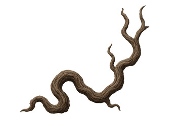 Poster - Gnarled and textured branch featuring a transparent background, offering a natural and organic element for design and artistic projects