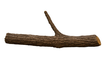 Poster - Dry tree branch with sprouting smaller branch, studio-captured against transparent backdrop