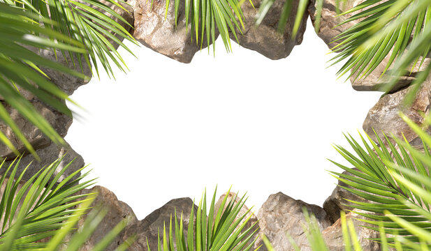 Tropic palm leafs holiday and rocks frame on transparent backgrounds 3d rendering png