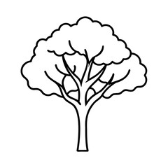 Poster - Tree with rounded crown thick trunk on a outline graphic