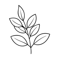 Poster - Outline a plant branch with multiple leaves on a leaf