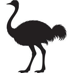 Poster - Silhouette of an ostrich standing on a white background, showcasing its long neck and feathered body on transparent background