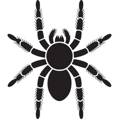 Poster - A black silhouette of a tarantula spider with eight legs on a plain light gray background design element on transparent background