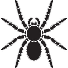 Poster - A simple black spider illustration with eight legs on a white background in a vector format on transparent background