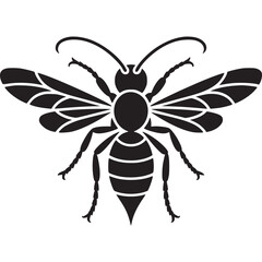 Poster - A black and white graphic illustration of a bee with detailed wings and striped abdomen design on transparent background