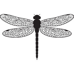 Poster - A minimalistic black and white illustration of a dragonfly with detailed wings on a white background on transparent background
