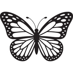 Poster - A black and white graphic illustration of a butterfly with detailed wing patterns and antennae on transparent background