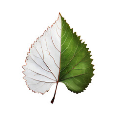 Poster - a single leaf split vertically with one half green and the other half white on transparent background
