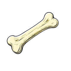 Poster - illustration of a single cartoon bone with a light yellow color on a plain on transparent background
