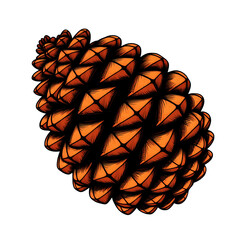 Poster - illustration of a pine cone with orange scales and black outlines on transparent background