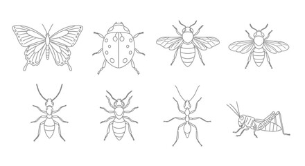 Poster - Collection of insect outlines including butterfly, ladybug, bee, ant and grasshopper