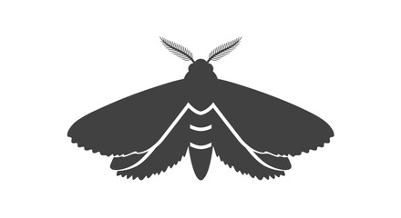 Poster - Silhouette of a nocturnal moth with detailed wings, an illustration for entomology