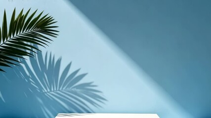 Poster - Light blue studio background with white podium and palm leaf casting shadow in clean minimal aesthetic for display or commercial use