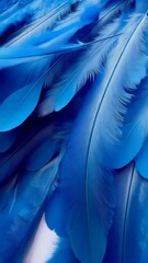 Poster - Detailed close-up of vibrant blue feathers in a layered pattern forming an elegant and textured background or design element.