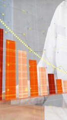 Poster - Animation of financial data processing over caucasian businesswoman using laptop