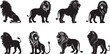 © Dara - Collection of black and white illustration of a lion standing with its head turned to the side.