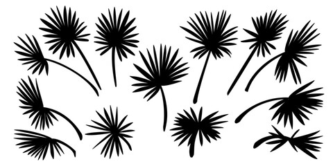 vector black palm leaves set. Clip art isolated on transparent background.