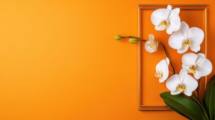 Fototapete - Bright orange backdrop with a gold frame holding delicate orchid blooms