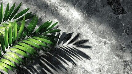 Fototapete - Lush green palm leaves cast intricate shadows on a textured stone surface.