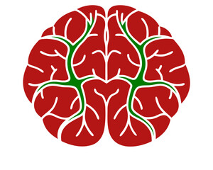 Poster - Abstract brain illustration with red and green colors representing neural networks