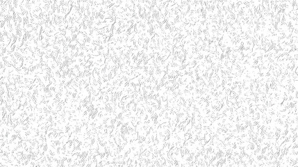 Poster - Abstract swirl line texture background. Grunge organic pattern with minimal wave flow. High contrast surface for modern design aesthetics.