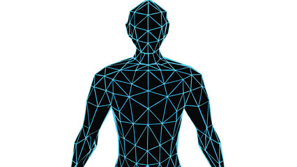 Poster - Digital representation of a human body constructed from triangles and lines in a low poly style
