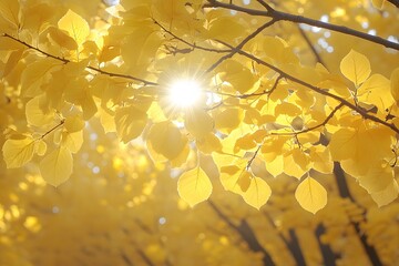 Wall Mural - Golden Autumn Foliage with Sunburst in a Tranquil Outdoor Setting for Seasonal Design