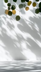 Poster - Elegant Minimalist Beauty with Sunlit Simplicity and Captivating Shadow Play on Textured Wall