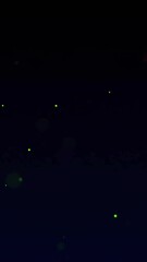 Poster - Colorful light trails and particles animation over dark background