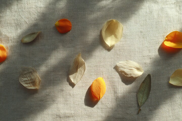 Aufkleber - Scattered artificial petals, orange and cream, on textured linen cloth with soft natural sunlight and gentle shadow, creating calm and peaceful atmosphere