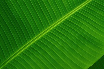 Aufkleber - Tropical rainforest foliage with lush green leaf patterns for eco-friendly garden design