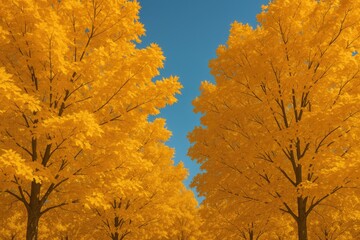 Poster - Different ways to describe maple trees