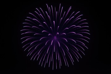 Poster - Lavender fireworks exploding in a night sky scene