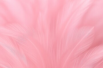 Poster - Gentle pink feathers of a chicken creating a blurred and soft background effect