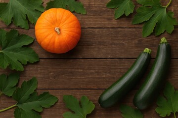 Wall Mural - Farm-fresh vegetables featuring pumpkin and zucchini arranged on an antique wooden surface with lush green foliage, perfect for autumn harvest scenes.