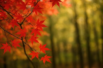 Wall Mural - autumn foliage with crimson leaves on tree branches against a soft natural backdrop
