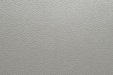 Poster - Metallic silver leather surface or pattern