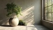 © Kajol - Indoor Greenery Potted Tree by Window with Natural Light and Decorative Plants