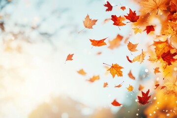 Wall Mural - autumn background with maple falling leaves autumn leaf beautiful.