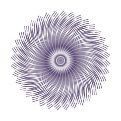 Poster - Purple radial lines. Abstract swirling shape. Dynamic spiral element. Vector illustration art.