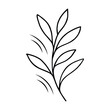 © KN Graphics Point - Minimalist Botanical Line Art of Leaf Branch Black and White Nature Illustration