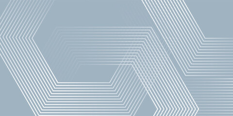 Poster - Modern hexagon lines on gray background. Geometric lines simple design modern. futuristic hexagon abstract technology