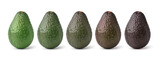 Stages of avocado ripeness isolated on white background.