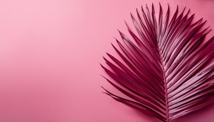 Fototapete - single dark pink palm leaf on pink background