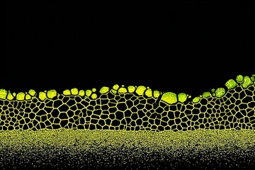 Poster - Plant cell structure observed under a microscope reveals intricate patterns of chloroplasts in bright green hues during a lab session
