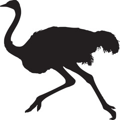 Poster - Silhouette of an ostrich running with its long neck curved against a white background in studio shot