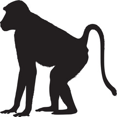 Poster - Baboon monkey silhouette vector illustration for wildlife animal and nature design graphic resources