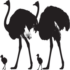 Poster - Ostrich family silhouette vector illustration african wildlife bird isolated black and white animal design 100