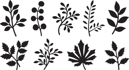 Poster - Collection of black silhouette botanical elements and leaves isolated on transparent background